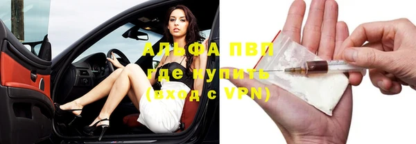 винт Абаза