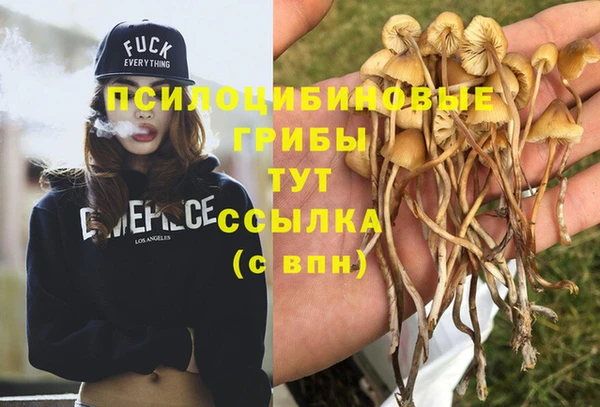 скорость Алексин